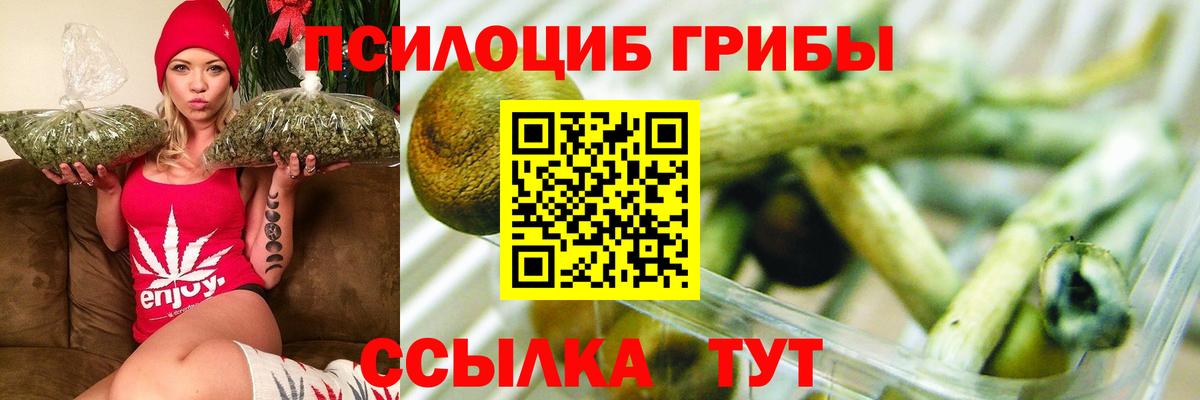 продажа наркотиков  Вход с VPN  Зеленогорск  Псилоцибиновые грибы Magic Shrooms 